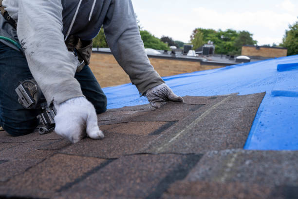 Best Residential Roofing Contractor  in Grove City, FL