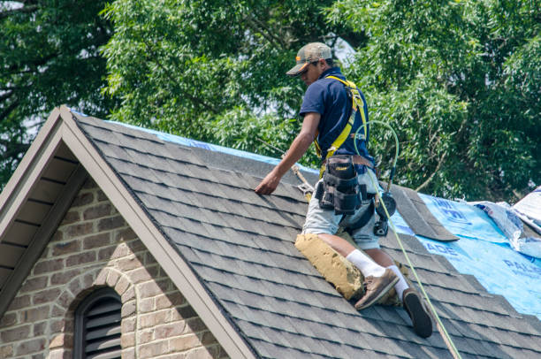 Best Roof Repair Services  in Grove City, FL